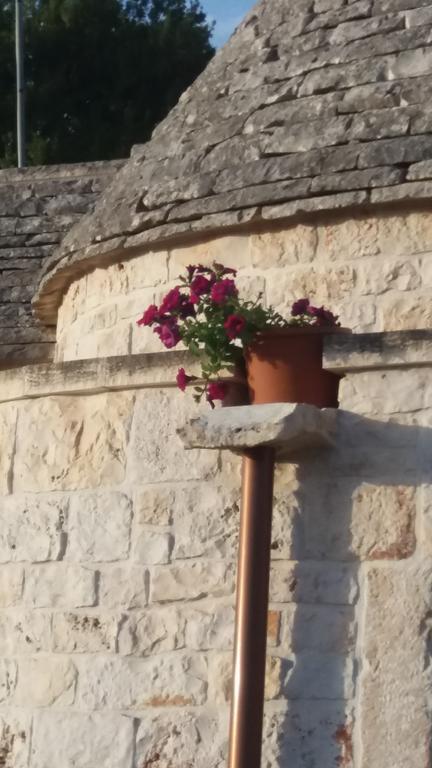 Residenza Di Nonna Giulia Villa Locorotondo Ngoại thất bức ảnh